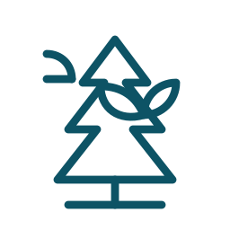 Minimal pine spa icon in teal line art